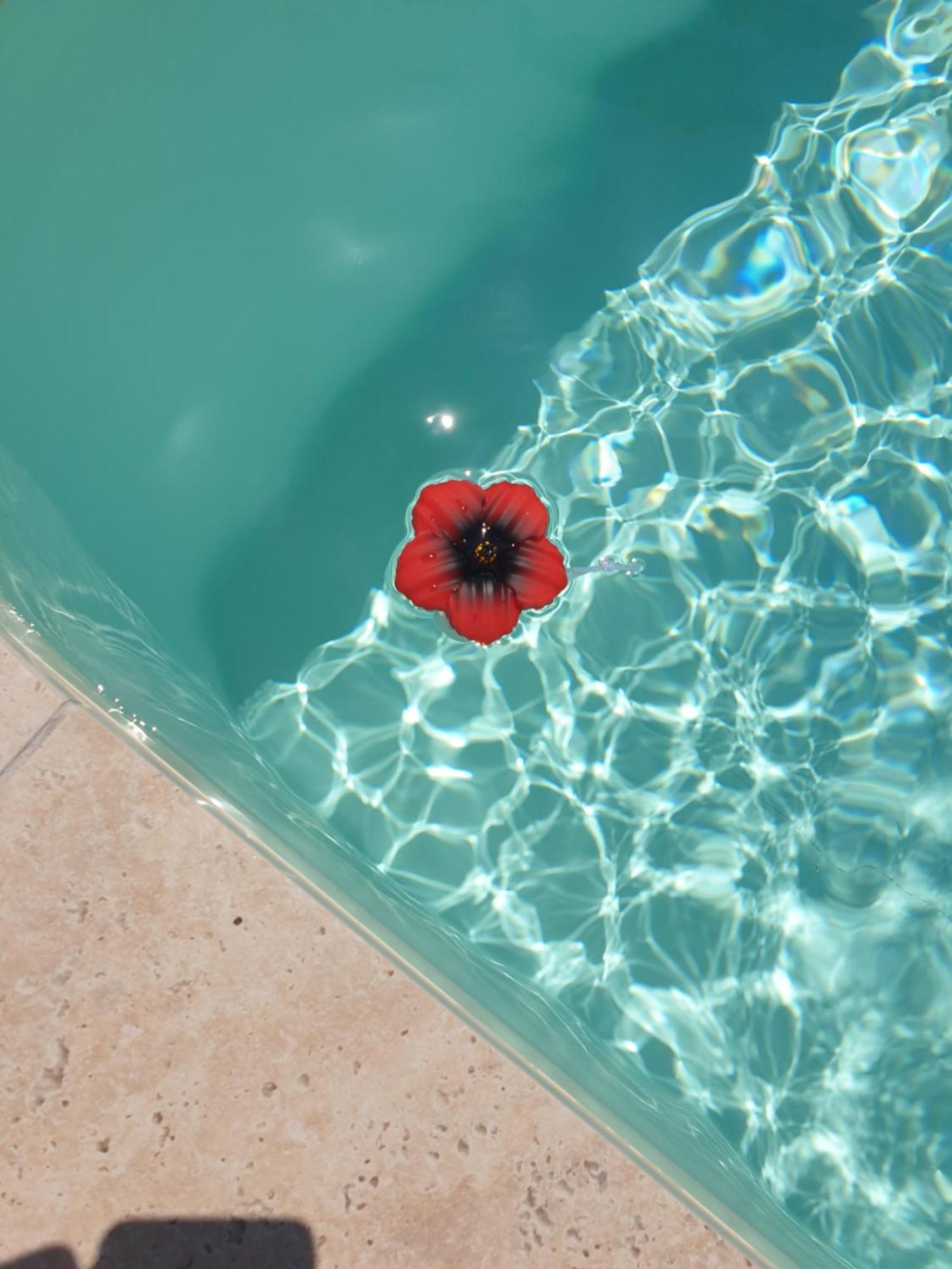 Chez Guillaume Et Bequie Homestay Biganos